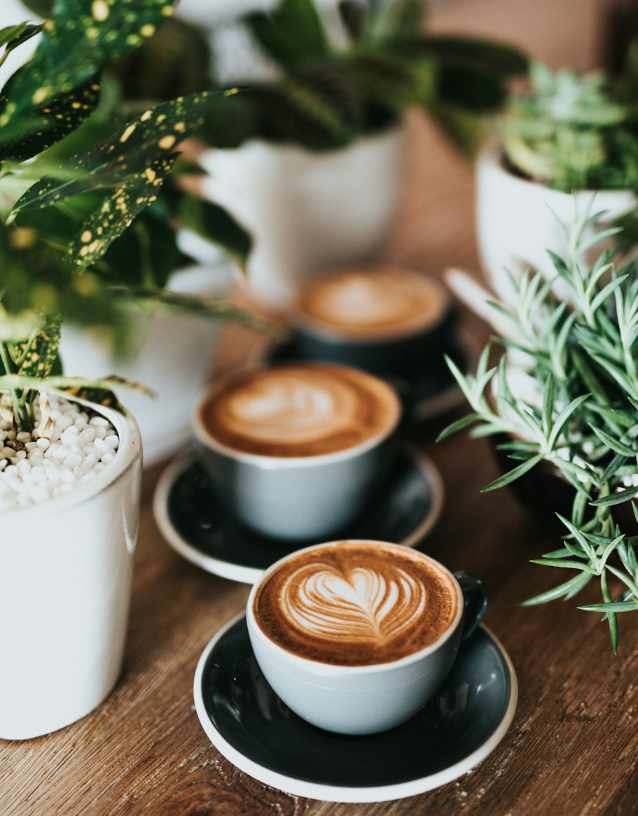 Two flat whites in white cups on a wooden table, a potted plant and a sprig of rosemary behind them in the window light